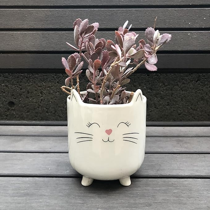 Amazon.com : SparkDazzle Cat Planter Pot | Succulent Planter | Animal Planter | White 5" inch Pla... | Amazon (US)