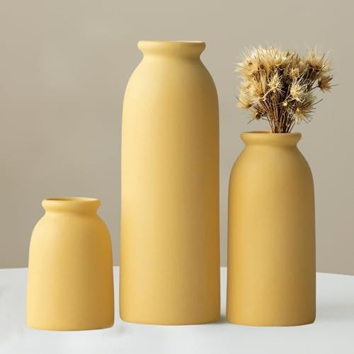 Ceramic Vase Set-3, Small Flower Vases for Decor, Modern Boho Farmhouse Style, Decorative Vases f... | Amazon (US)