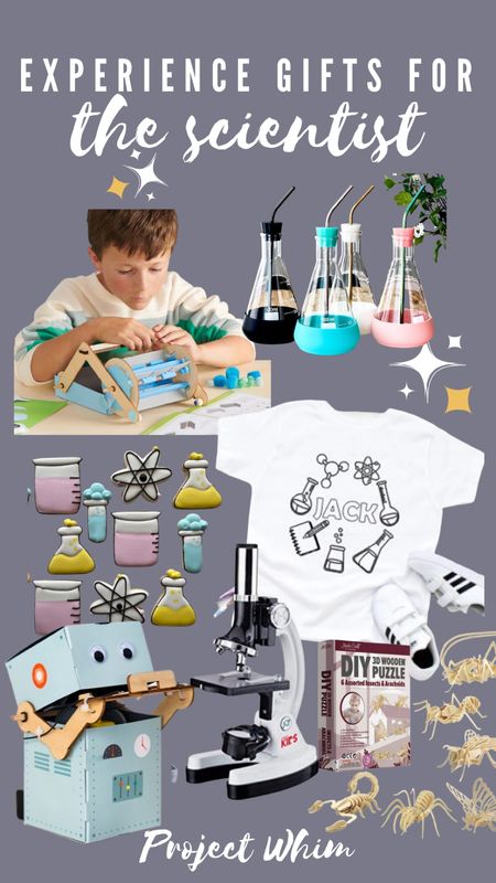 Gift Guide for Little Scientist: Part 4 of our “How to Gift Experiences for Kids” series. 

#LTKGiftGuide #LTKHoliday #LTKkids