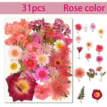Dried Pressed Flowers Set Decorative Accessories Set Resin - Temu | Temu Affiliate Program