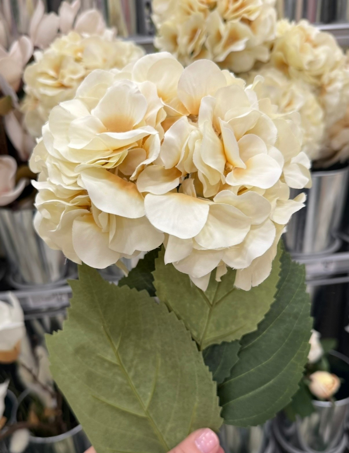 🌿 50% OFF these gorgeous stems right now ⬇️

so good for spring styling — I love mixing a few of these for that full, high-end look without the price

see them + more of my top picks for florals right now

#LTKdayinmylife #LTKSeasonal #LTKSaleAlert