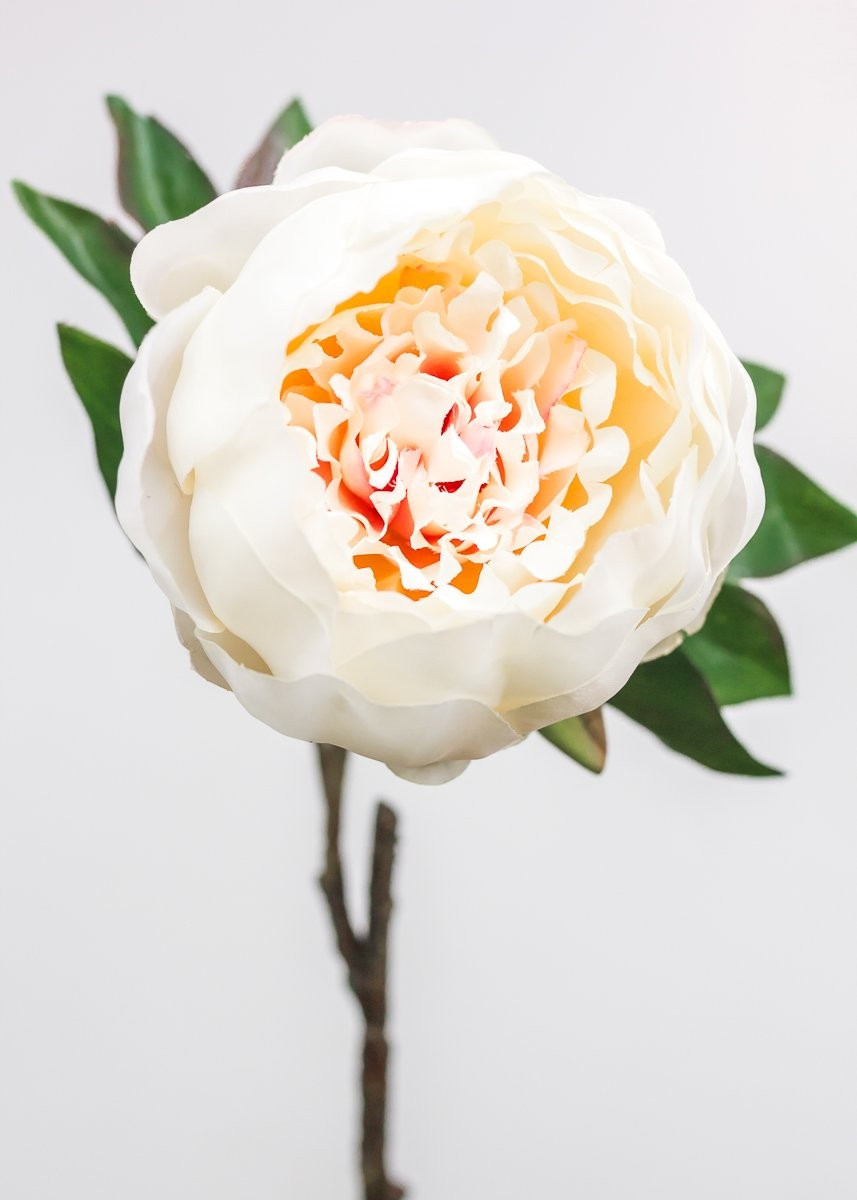Silk Peony Bud in Blush Pink - 19.5" Tall | Afloral (US)