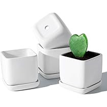 POTEY 051105 Square Succulent Plant Pot - 3.5 Inch White Ceramic Small Planters for Cactus Succulent | Amazon (US)