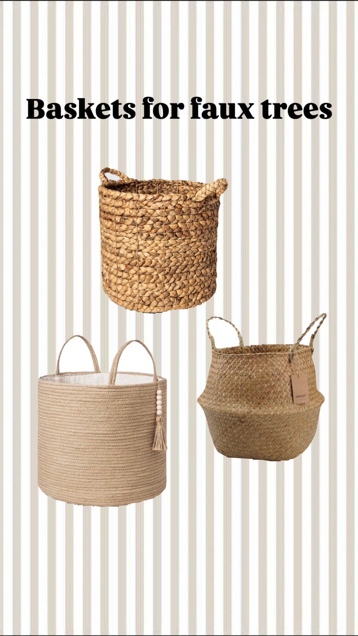 My favorite faux trees 

#LTKdayinmylife #LTKHome #LTKmomlife