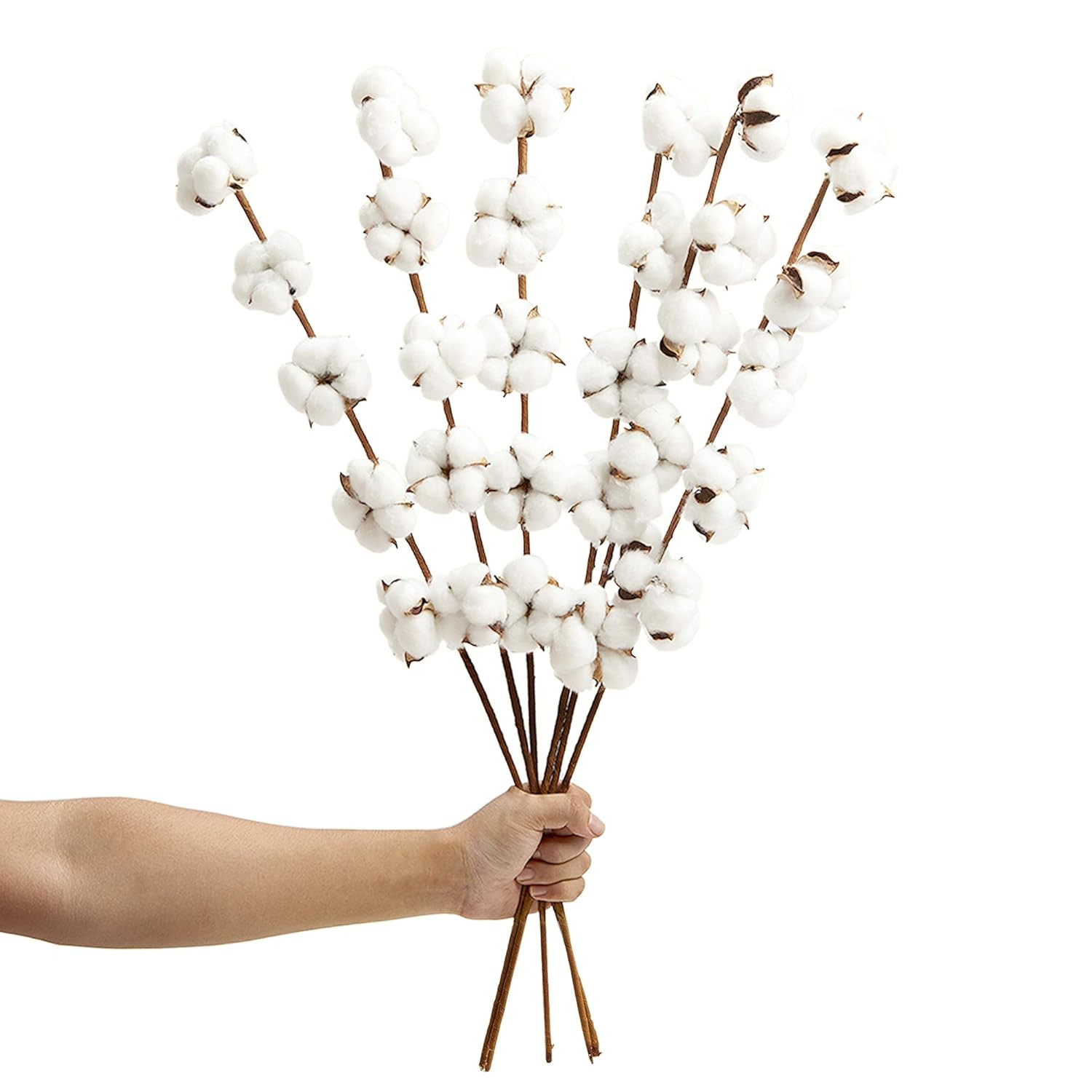 VGIA 6 Pack 27 inch Cotton Stems Farmhouse Decor Rustic Style Vase Filler Floral Decoration Flower | Amazon (US)
