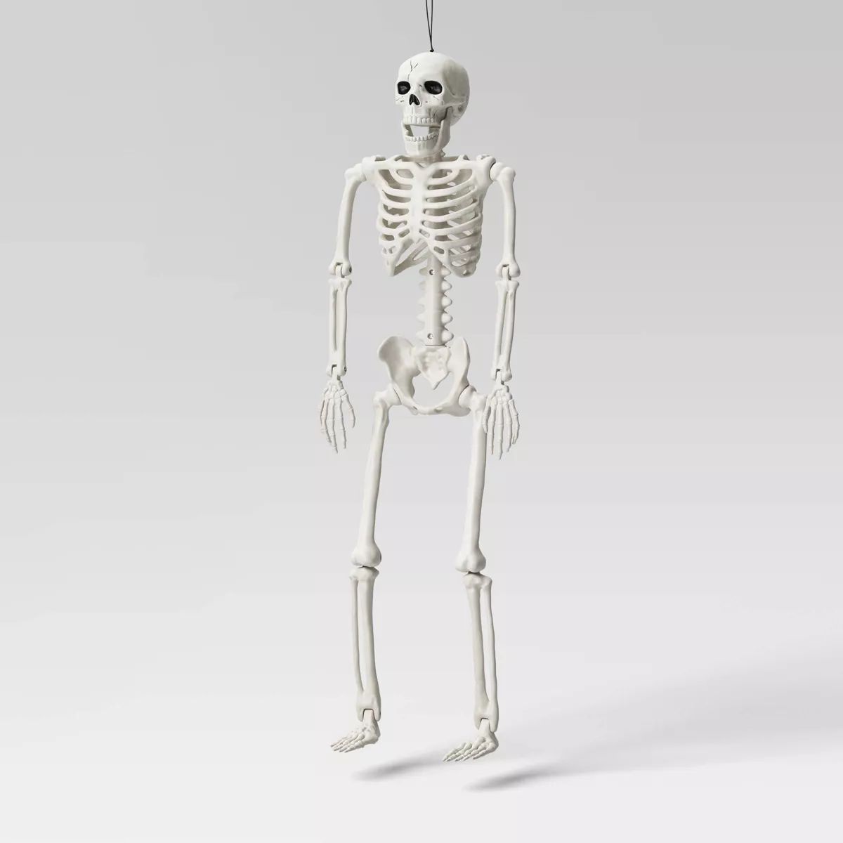 24" Posable Skeleton Halloween Decorative Mannequin - Hyde & EEK! Boutique™: Realistic, Indoor/... | Target