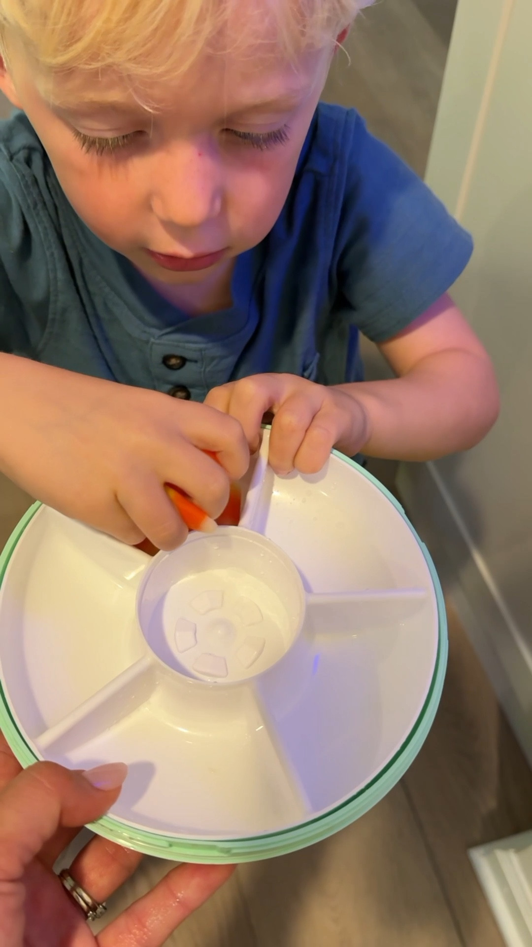 We are obsessed with this spinning snack container! Anytime we travel or go anywhere with the boys we always make sure to bring this with us! 

Come stay awhile, Amanda Vernaci 

#traveling with kids, #snacksforkids #travelinghacksforkids #snacksonthego

#LTKKids #LTKTravel #LTKmomlife