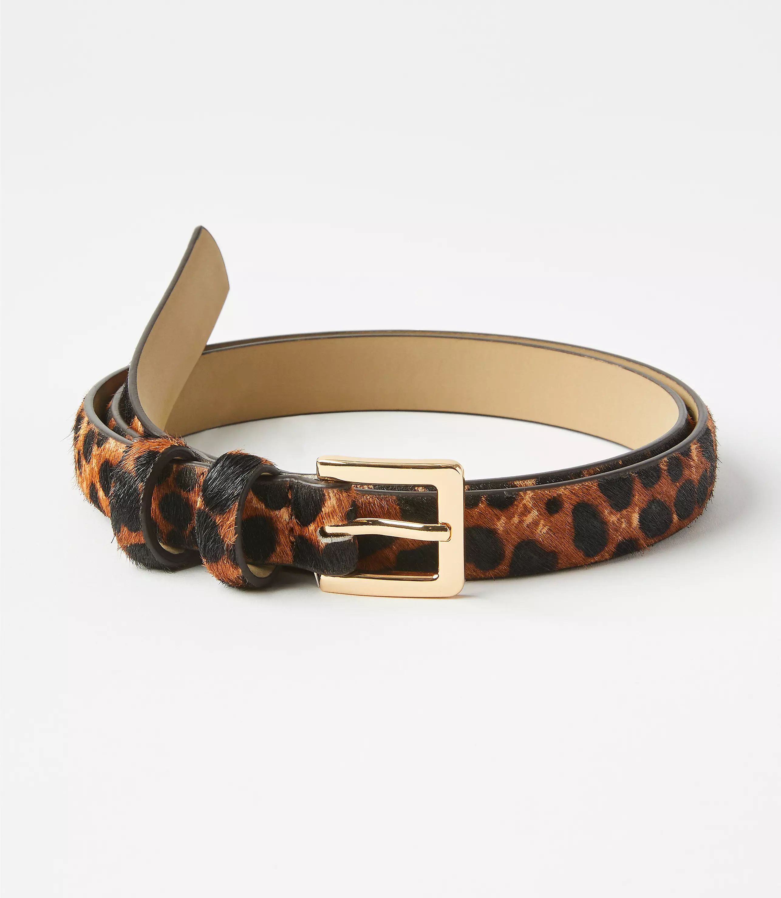 Leopard Print Haircalf Refined Belt | LOFT