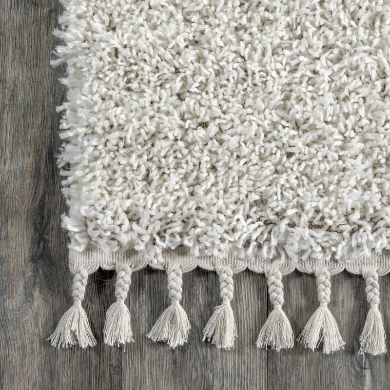 Shag Area Rug in Ivory | Wayfair North America