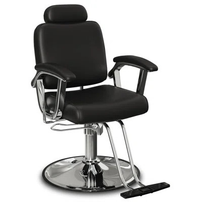 Premium Salon Chair, Reclining Salon Chair With Removable Headrest, Durable Steel Frame Stylist Hair Chair 360 Swivel All Purpose Hair Salon Chairs Fo | Wayfair North America