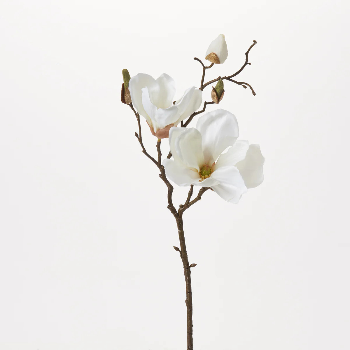 Cream White Magnolia Blossom & Bud Multiple Blooming Branch Stem Spray - 19" | Darby Creek Trading