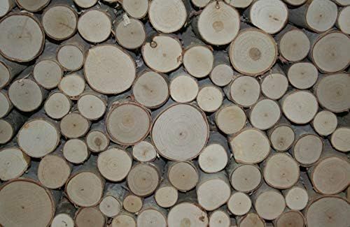 Wilson White Birch Fill-A-Space Logs | Amazon (US)