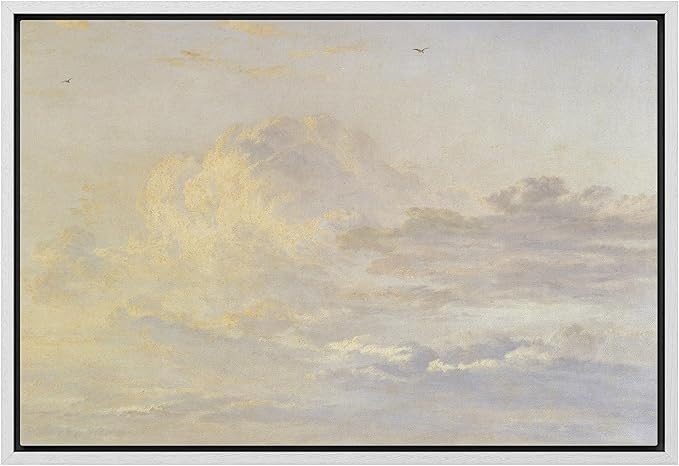 SIGNLEADER Framed Canvas Print Wall Art Cloudy Day Scenic Wilderness Illustrations Modern Art Far... | Amazon (US)