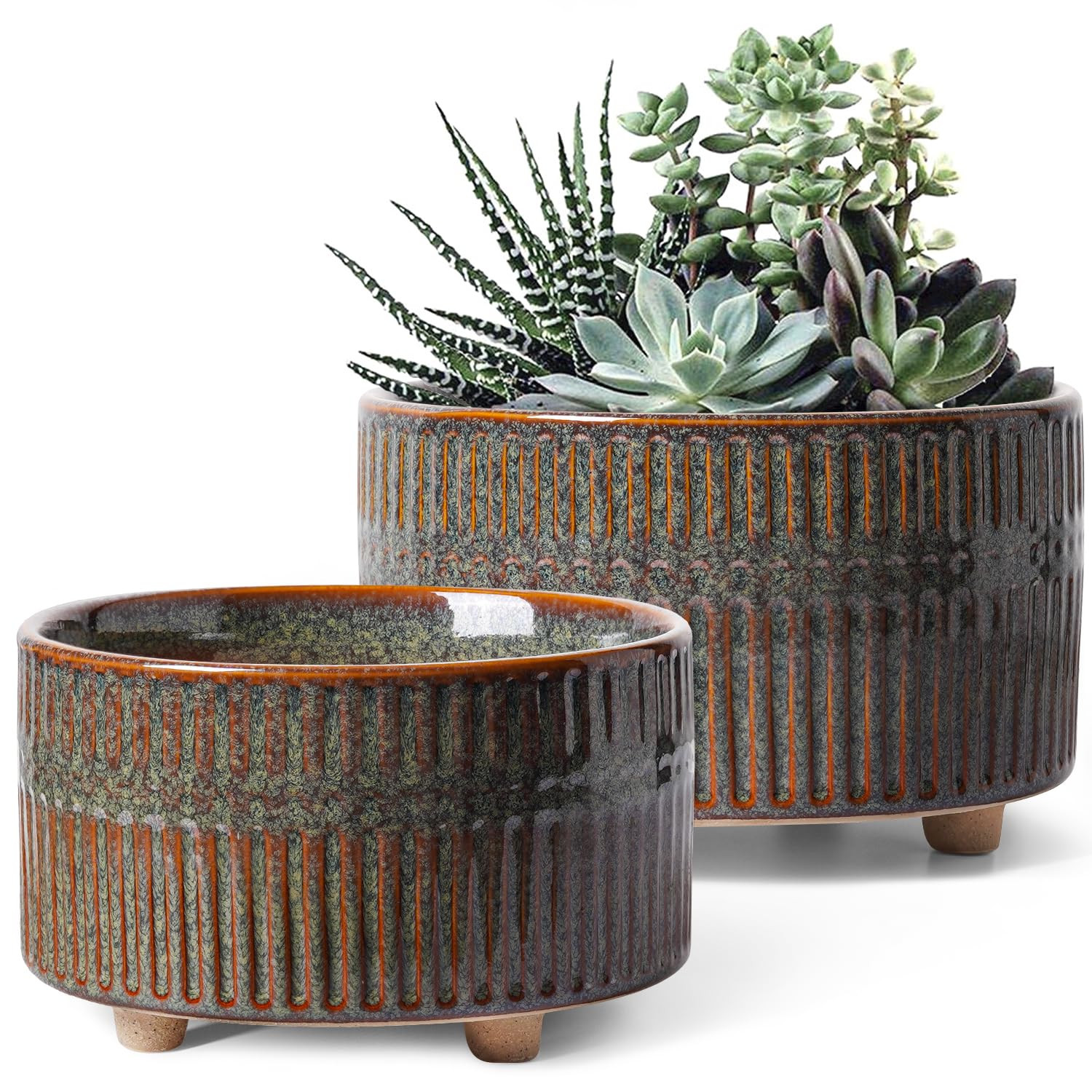 LE TAUCI Succulent Pots, 6.5+8 Inch Ceramic Pots for Plants Indoor, Shallow Round Succulent Plant... | Amazon (US)