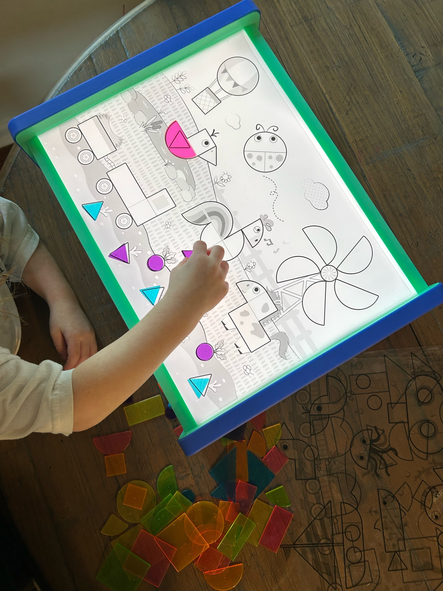 Received this as a gift yesterday and my girls are loving it so much. Such a great interactive toy!

#LTKKids #LTKFamily