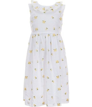Little Girls Sleeveless Ruffle Collar Embroidered Floral Dress | Dillard's