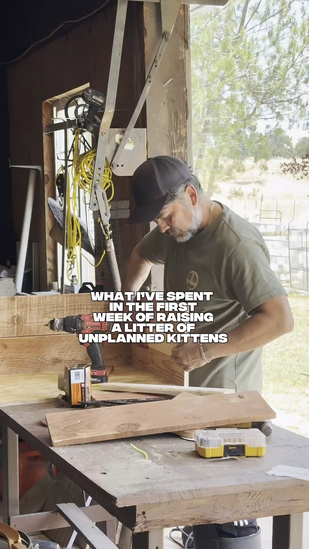 Those bowls were too dreamy to pass up 😍 

#LTKHome #LTKPets #LTKFamily