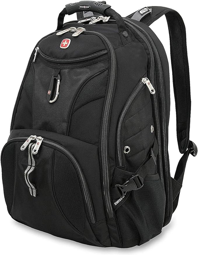 SwissGear 1900 Scansmart TSA 17 Laptop Backpack, Black, 19-Inch | Amazon (US)