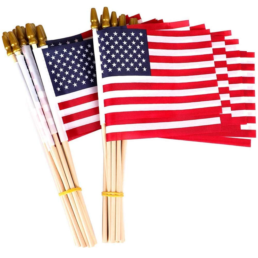 25 Pack Small American Flags on Stick 5x8 Inch/Mini American US Flags/American Hand Held Stick Fl... | Amazon (US)