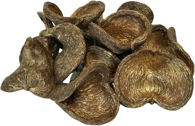 12 Piece Natural Badam Nut Seed Pod Bowl Filler – Organic Heart-Shaped Nut Shells for Decorativ... | Amazon (US)