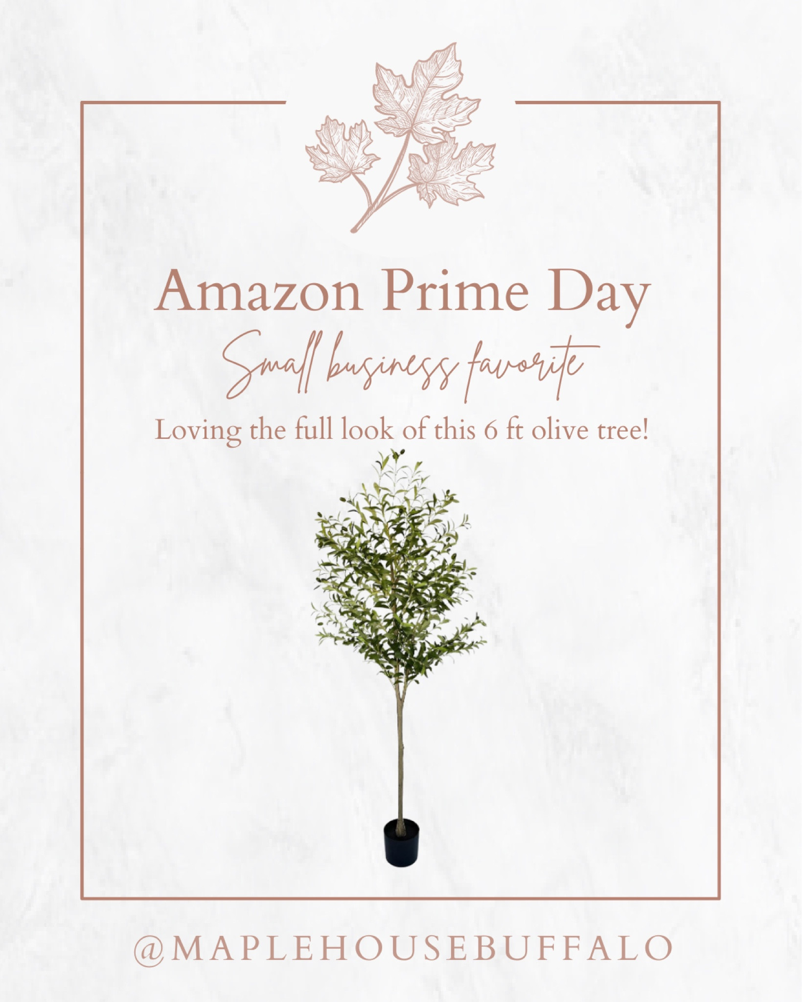 6’ olive tree - one of my Amazon favorites sold by a small business!
Love the fullness of this olive tree & you can easily add more height with a tall planter!

#LTKfindsunder100 #LTKhome #LTKxPrime