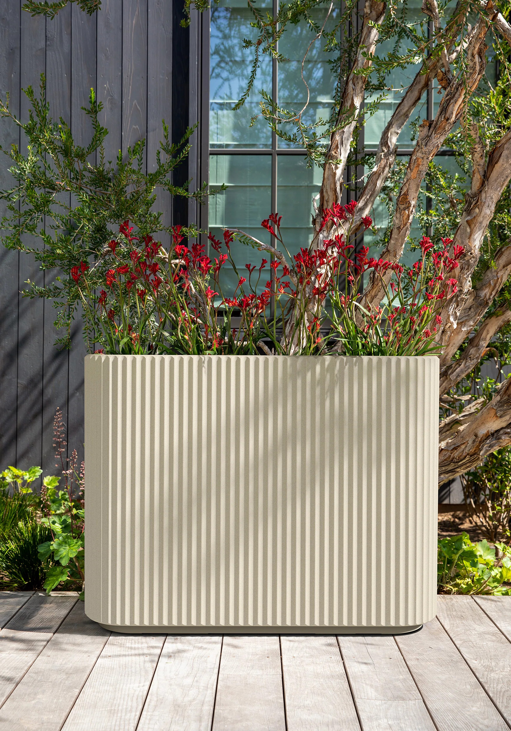 Veradek Demi Series Span Planter | Wayfair North America