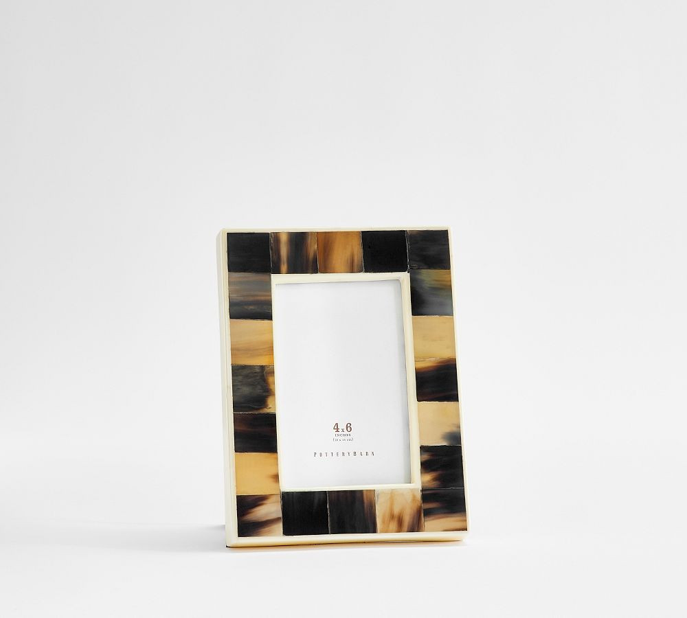 Horn and Bone Frame | Pottery Barn (US)