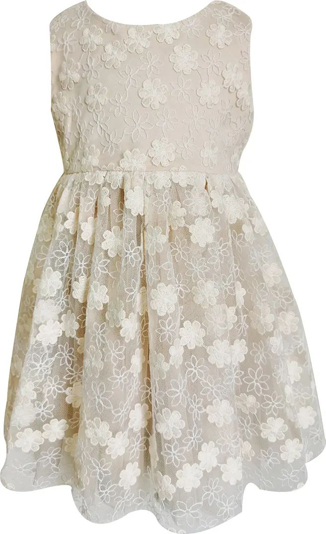 Floral Lace Dress | Nordstrom