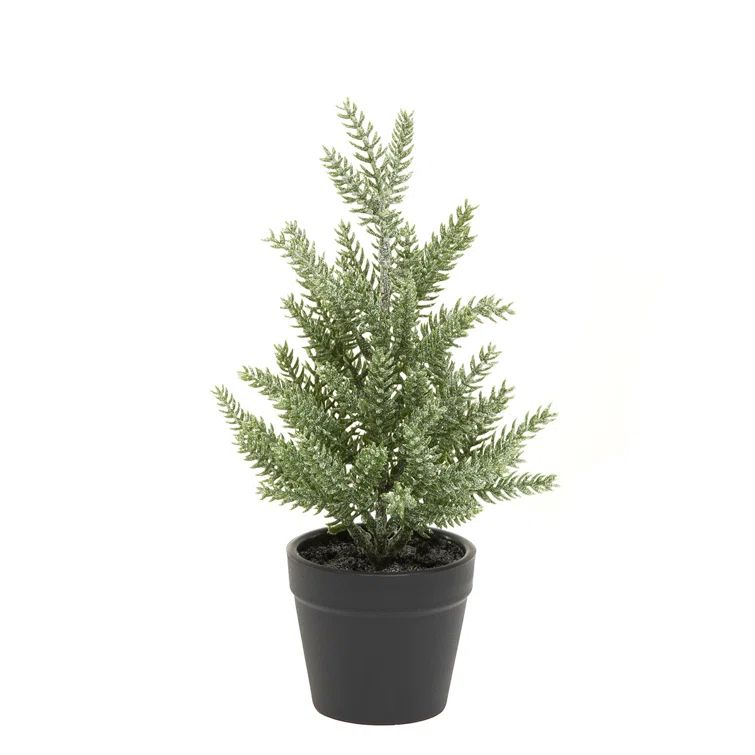 Frosted Pine Tree Pot | Wayfair North America