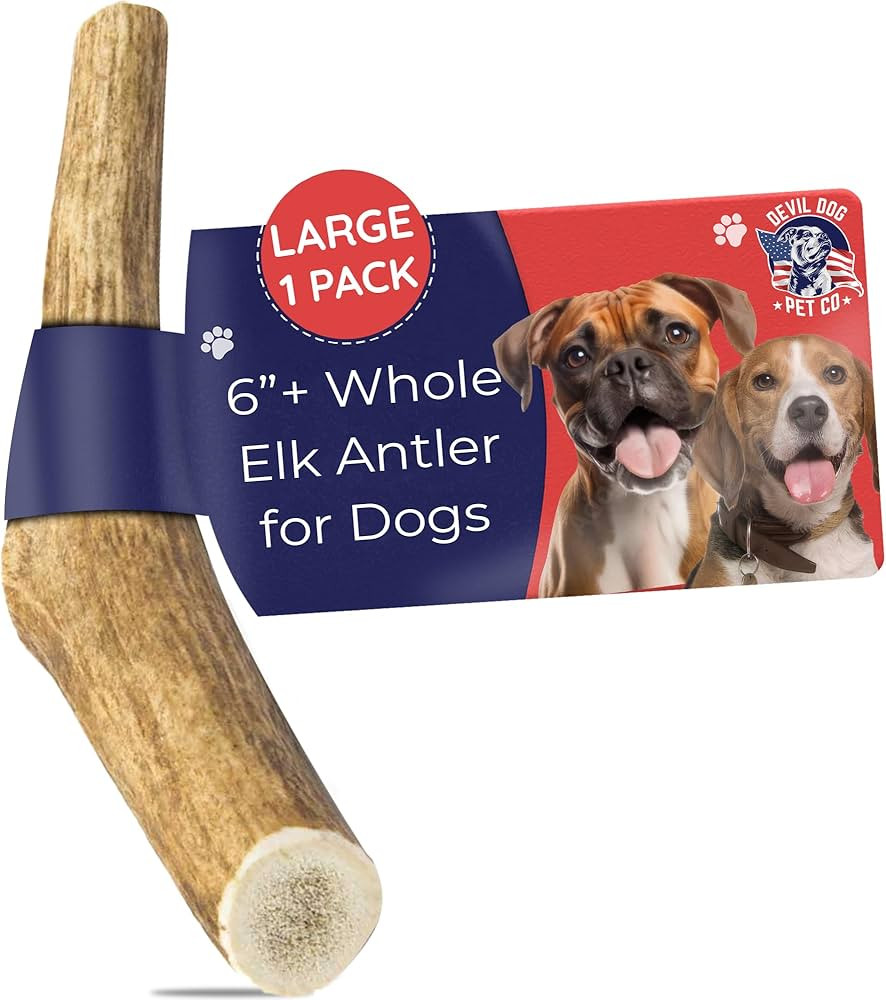 Devil Dog Pet Co. Elk Antlers for Dogs, Large 6"+, 1 Pack, Grade A Long Lasting Chew for Aggressi... | Amazon (US)