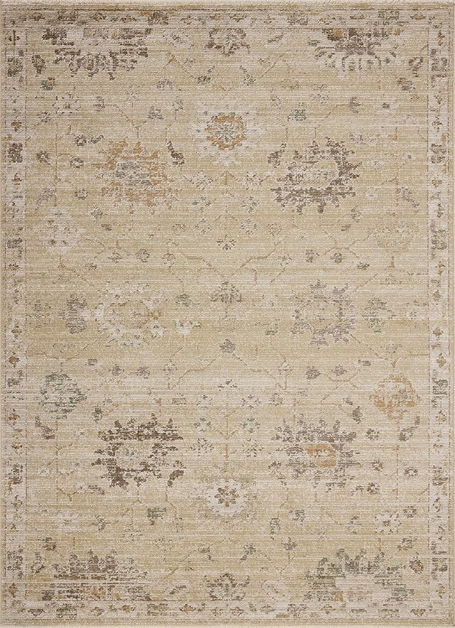 Loloi Magnolia Home by Joanna Gaines Pace Collection PAC-05 Apricot/Multi 9'-6" x 12'-3" Area Rug | Amazon (US)