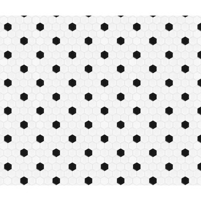 Satori Hudson Brilliant White and Black 10-in x 12-in Matte Porcelain Hexagon Wall Tile | Lowe's