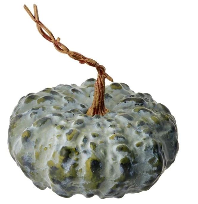 12" Hybrid Pumpkin- Green | The Nested Fig