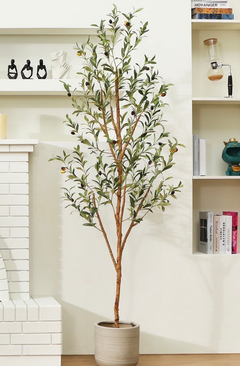 6 ft Artificial Olive Plants with Realistic Leaves and Natural Trunk, Silk Fake Olive Tree in Black Plastic Pot, Faux Olive Tree for Office Home