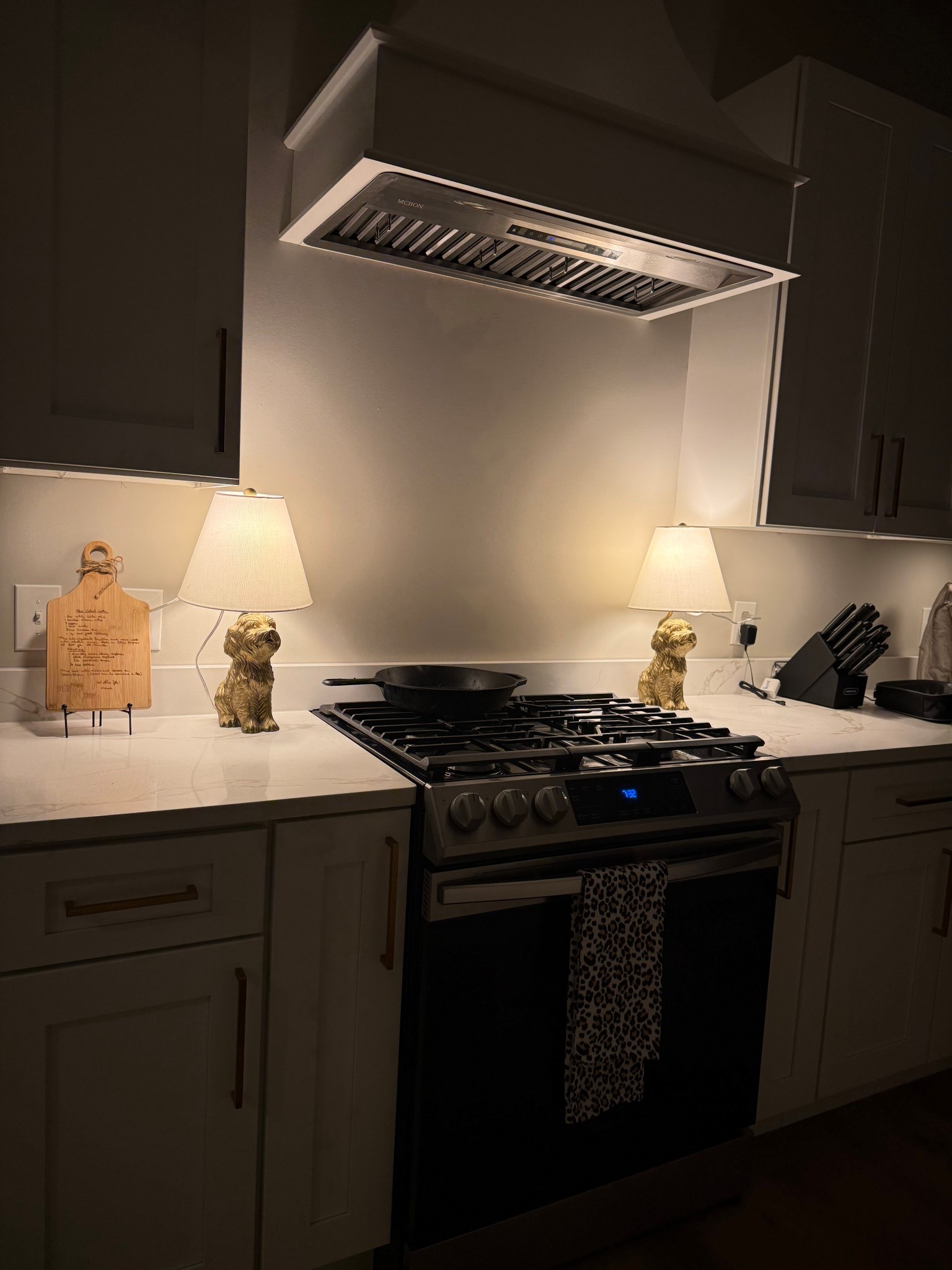 Obsessed with these lamps 