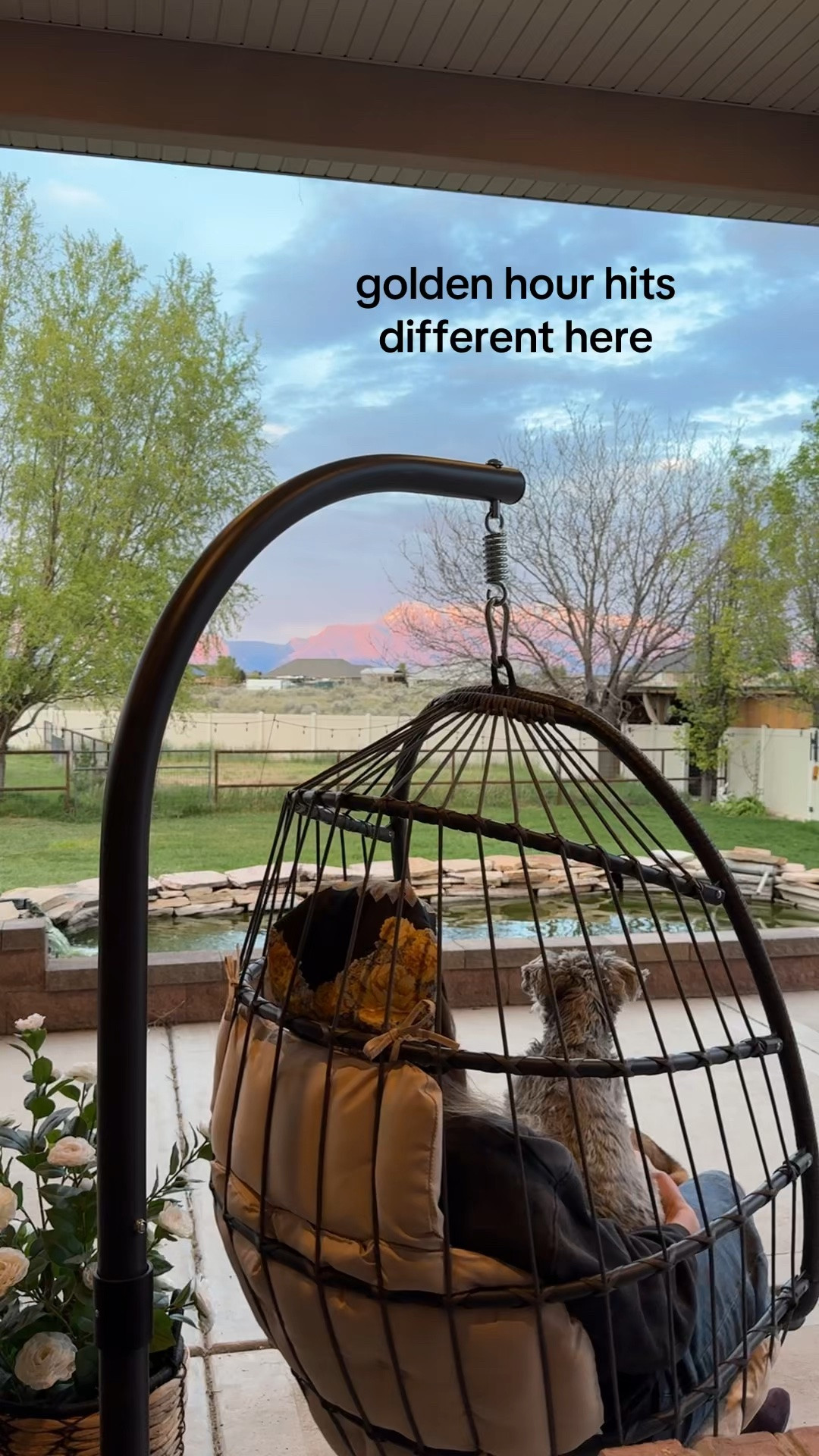 Me pretending I live in a Pinterest board 🌅🐕

#LTKMothersDay #LTKdayinmylife #LTKHome