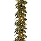 National Tree Company Pre-lit Artificial Christmas Garland | Includes Pre-strung Lights | Tiffany... | Amazon (US)