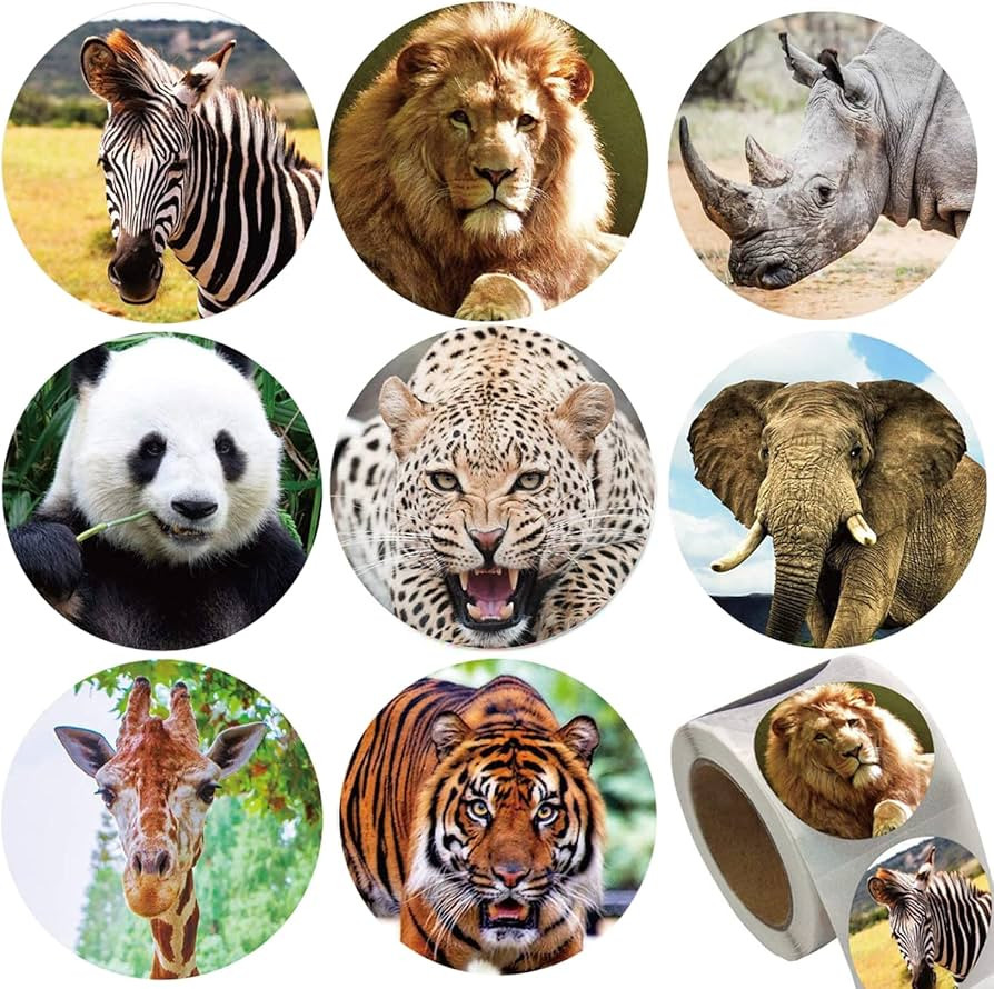 Zoo Animals Stickers for Kids,500pcs Round Jungle Animal Stickers for Boys Girls Birthday Party F... | Amazon (US)