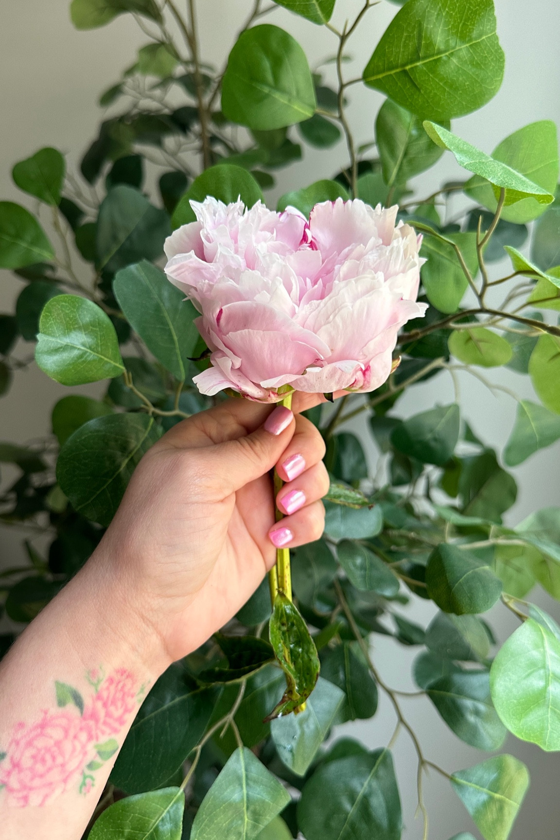 DIY gel nails. Nail kit. 