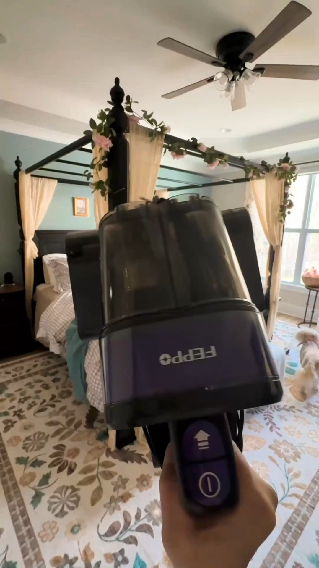Looking for a deep down spring clean? This mattress and upholstery hand vac is amazing! The heat from it even fluffed my couch pillows! 

#LTKHome #LTKdayinmylife #LTKSaleAlert