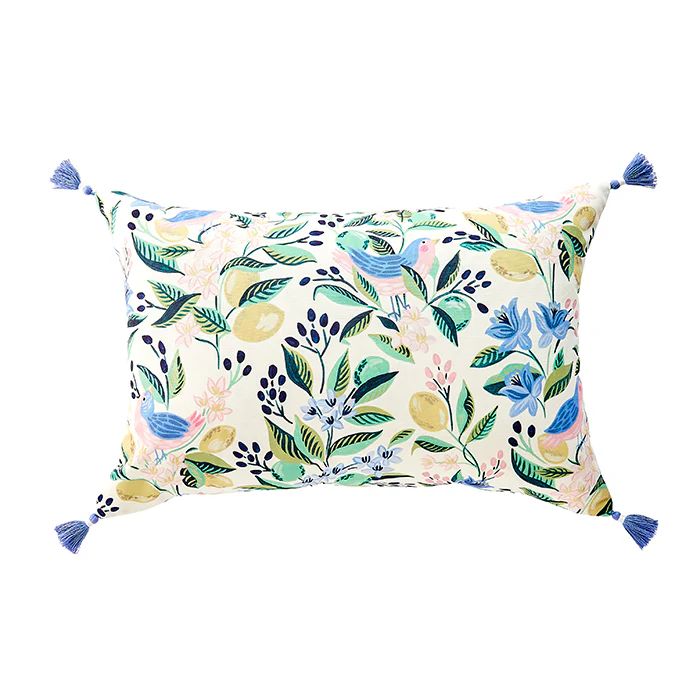 Citron Vert Outdoor Pillow | Caitlin Wilson Design