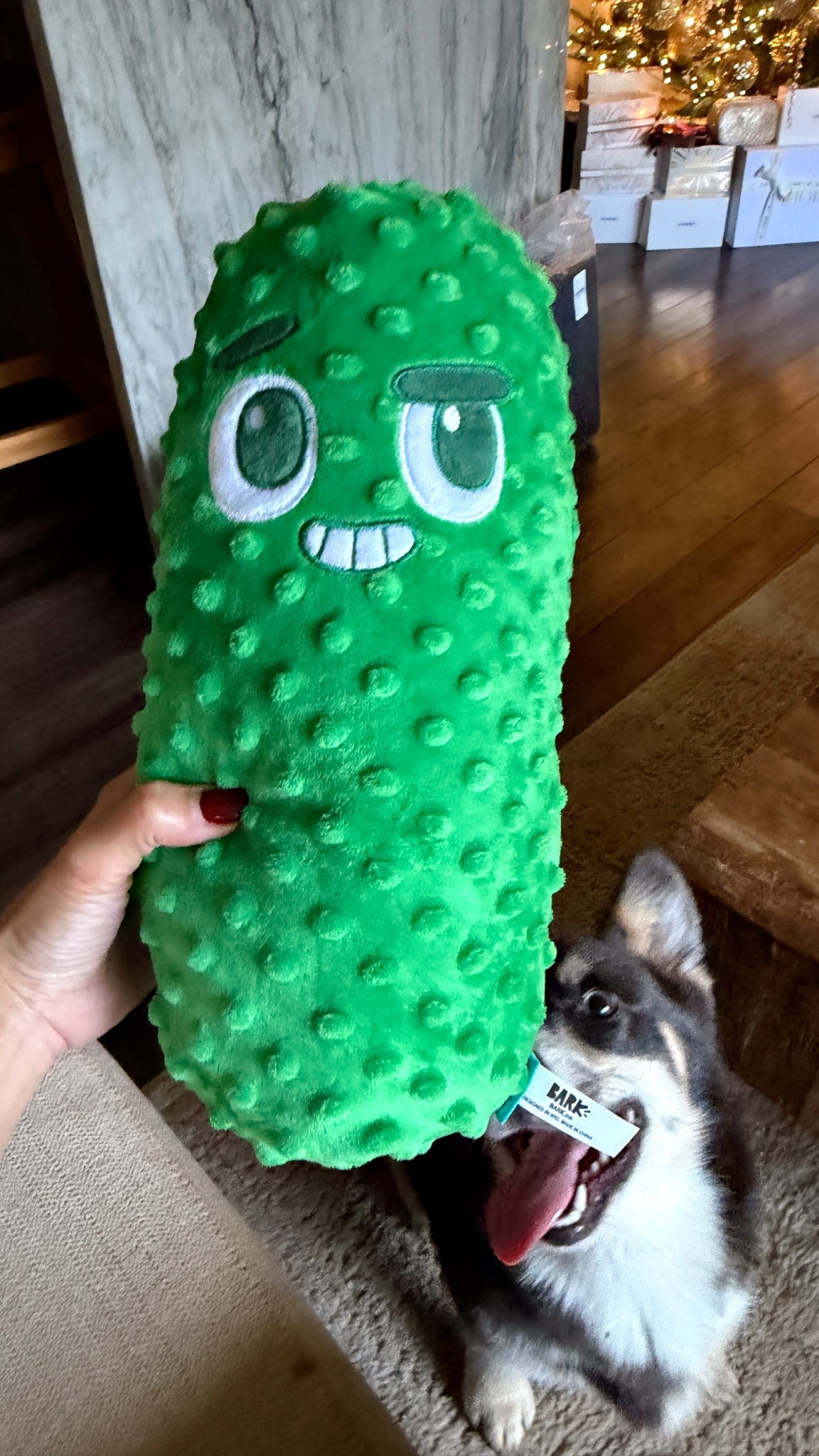 My sweet puppy Liam loves this pickle so much! My 9yo actually picked it out for HIM but he decided to give it to Liam (it’s a dog toy but super cute!) 

#LTKGiftGuide #LTKHoliday #LTKKids