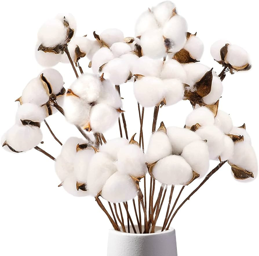 DomeStar Cotton Stems, Natural Dried Cotton 8 Packs Total 15 Bolls Cotton Sprigs Cotton Blooms Fl... | Amazon (US)