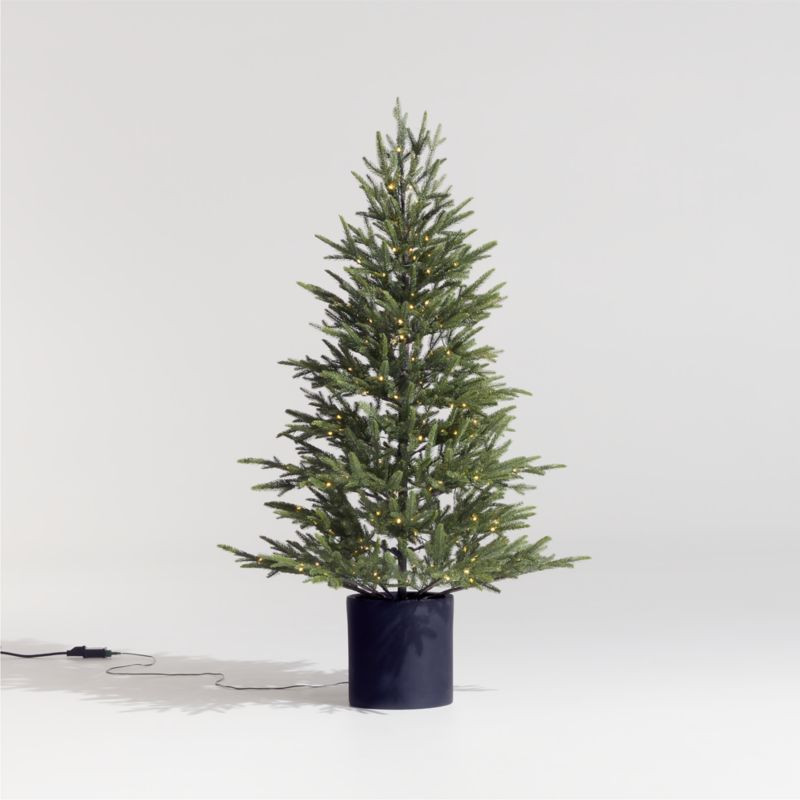 Faux Potted Norway Spruce Pre-Lit LED Tree with White Lights 3' | Crate & Barrel