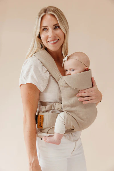 Desert Lark - Aerial Carrier | Wildbird