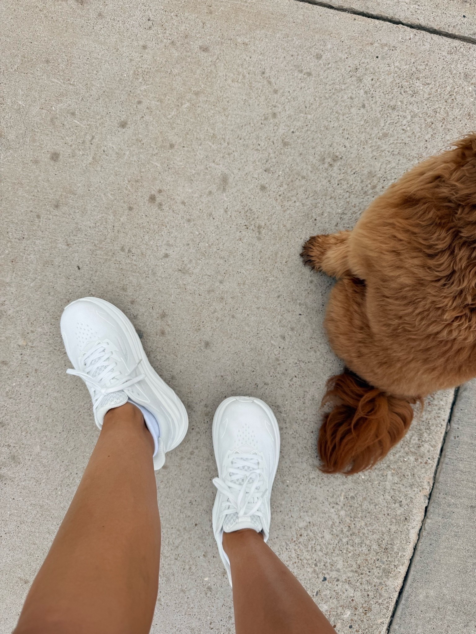 My favorite walking shoes are STILL ON SALE and in the white!!!

#LTKSaleAlert