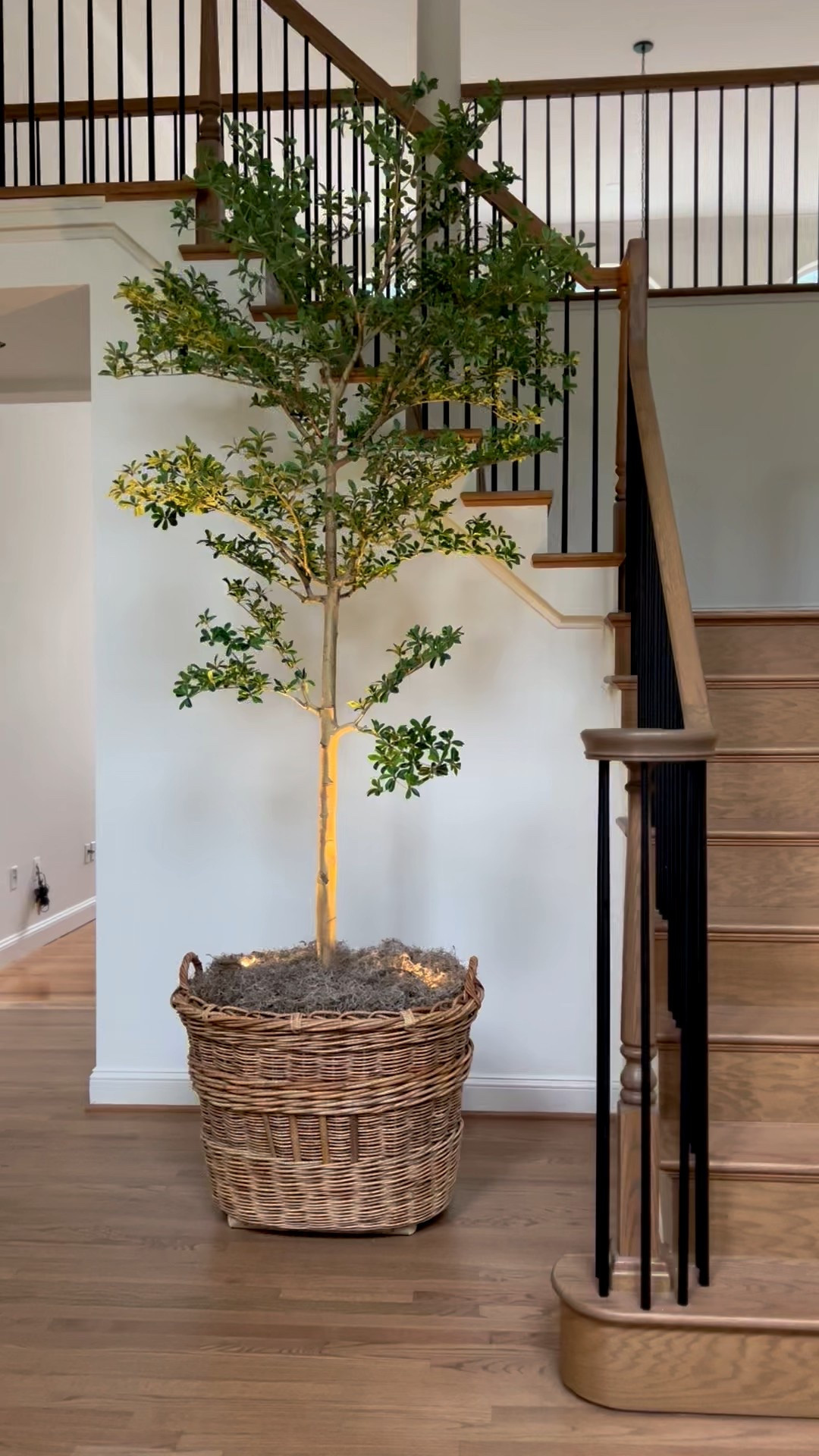 Big basket for trees! Found the best price and she’s huge!!

Realistic olive tree. You’ll want to fill those corners post holiday! 

#LTKHome #LTKSaleAlert #LTKHoliday