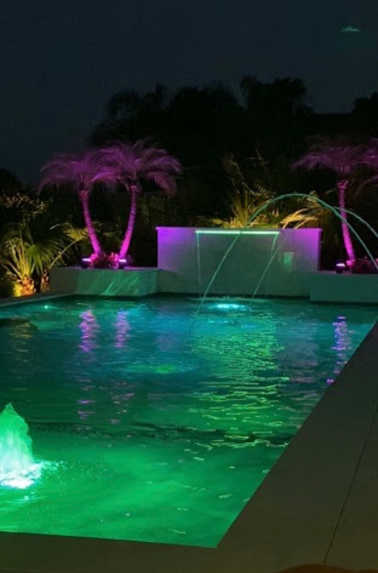 Pool lights uplighting solar lights plants backyard 

#LTKSeasonal #LTKSaleAlert #LTKHome