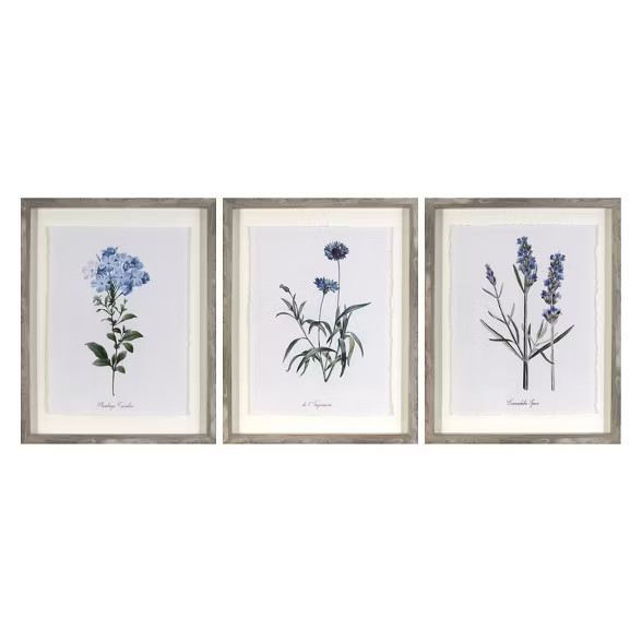 (Set of 3) 16"x20" Framed Vintage Botanicals Decorative Wall Art - Threshold™ | Target