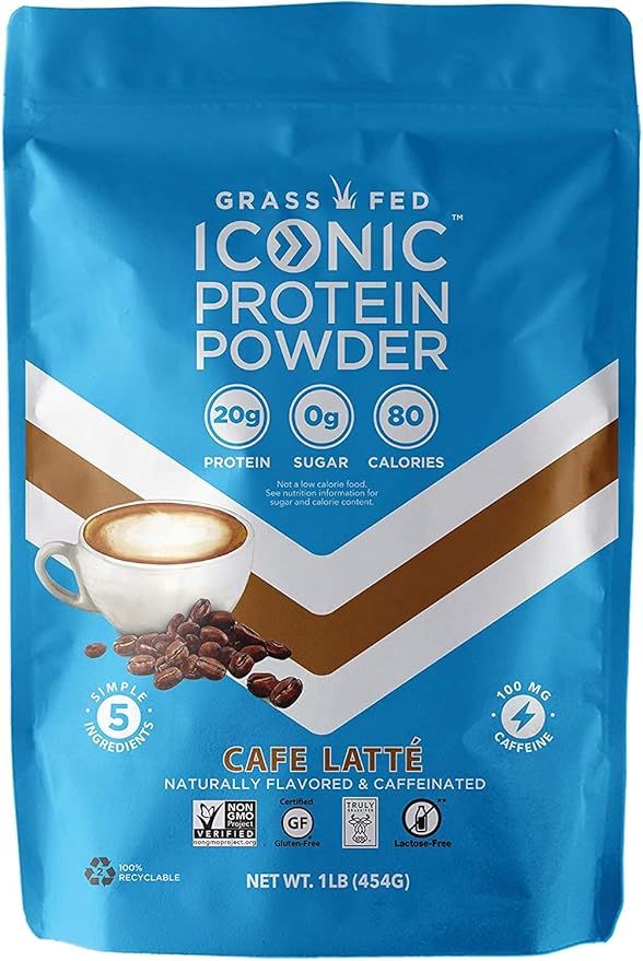 Iconic Protein Powder, Vanilla Bean, 1 Lb (18 Servings) | Sugar Free, Low Carb Protein Shake | 20... | Amazon (US)